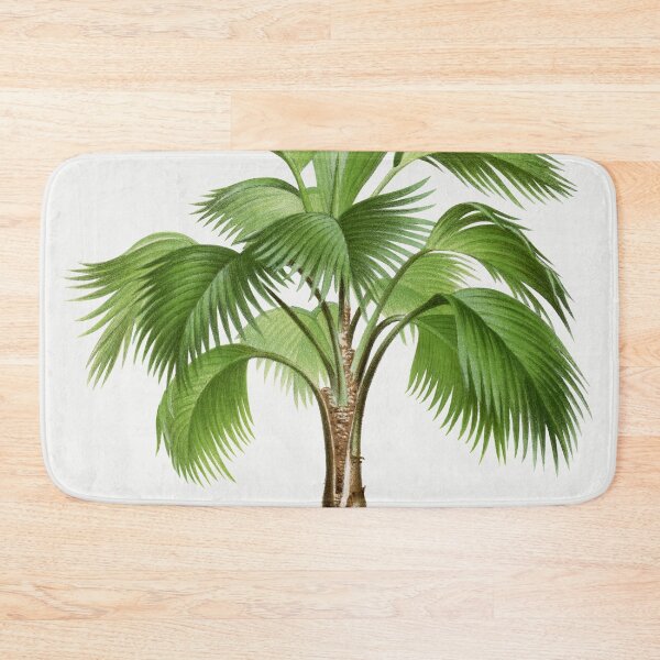 Artikelvorschau, Palme-Illustration - Hyophorbe Indica entworfen und verkauft von redoARTstore.