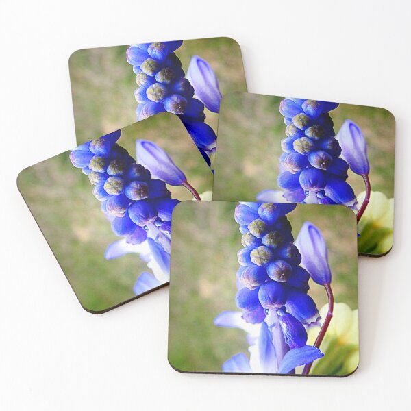 Item preview, Grape Hyacinth designed and sold by angel1.