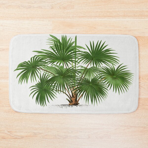 Item preview, Palm Tree Illustration - Livistona Australis designed and sold by redoARTstore.