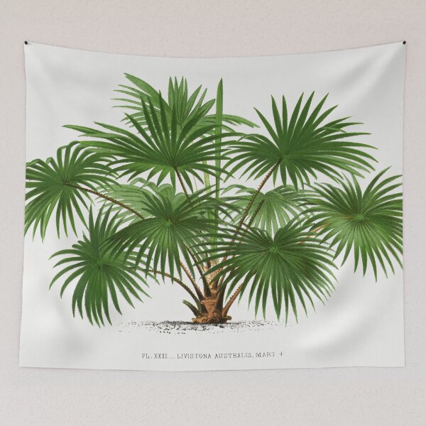 Item preview, Palm Tree Illustration - Livistona Australis designed and sold by redoARTstore.