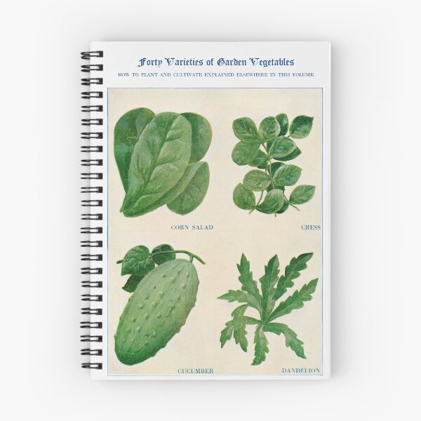 Item preview, Forty Varieties of Garden Vegetables - Salad designed and sold by redoARTstore.