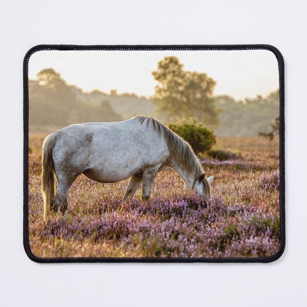 Item preview, Horse in the Heather designed and sold by Dalyndigital Photography.
