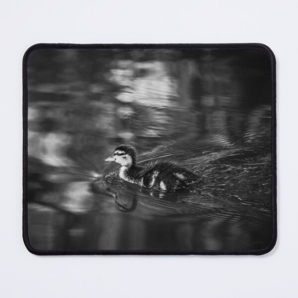 Item preview, little swim - duckling designed and sold by Perggals© - Stacey Turner.