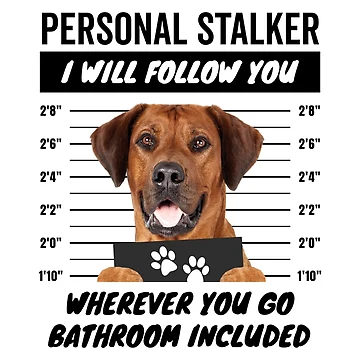 Artwork thumbnail, Personal Stalker Dog – Rhodesian Ridgeback by More Cute Dogs