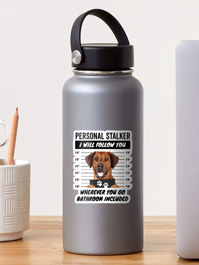 Thumbnail 1 of 3, Sticker, Personal Stalker Dog – Rhodesian Ridgeback designed and sold by More Cute Dogs.