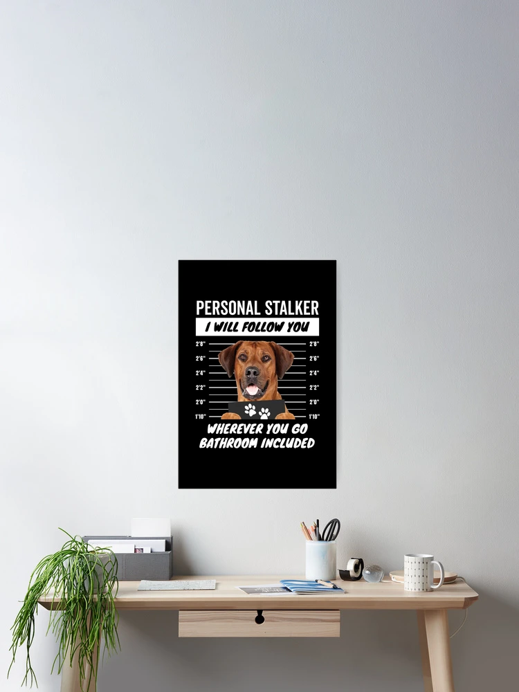 Thumbnail 2 of 3, Poster, Personal Stalker Dog – Rhodesian Ridgeback designed and sold by More Cute Dogs.