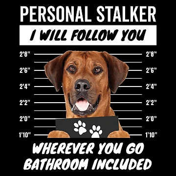 Artwork thumbnail, Personal Stalker Dog – Rhodesian Ridgeback by More Cute Dogs