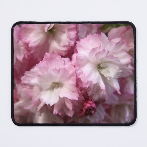 Item preview, Bountiful Blossom designed and sold by coffeebean.