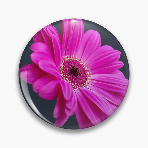 Item preview, Pink Gerbera Daisy Flower on Dark Blue Square designed and sold by ellenhenry.