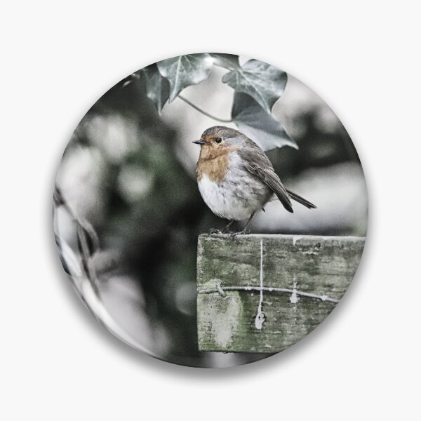 Item preview, Robin roosting designed and sold by Artytiff.