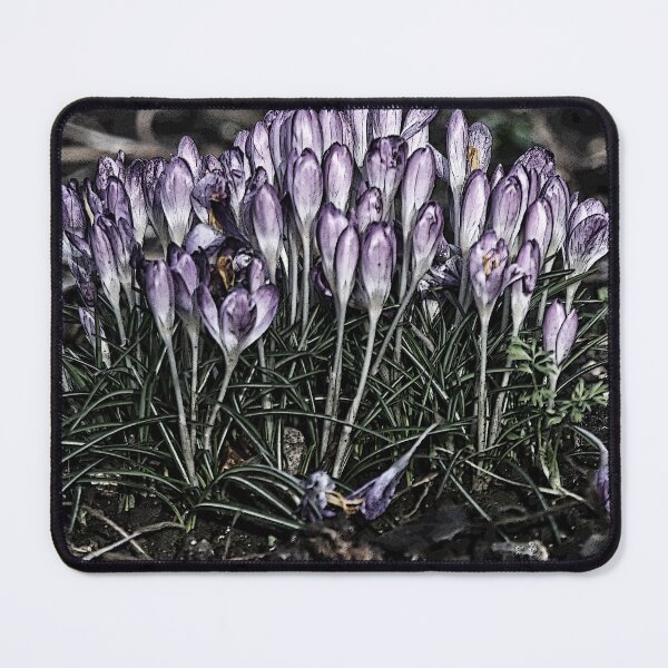 Item preview, Crocus designed and sold by Artytiff.