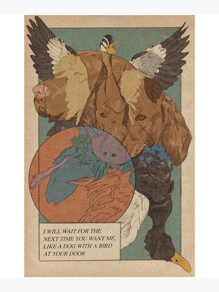 Discover Phoebe Bridgers Moon Song Bird Lyric Premium Matte Vertical Poster