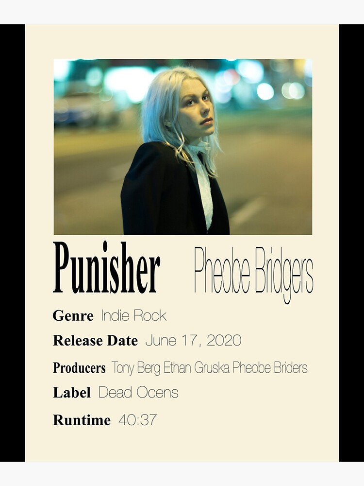Disover Punisher Premium Matte Vertical Poster