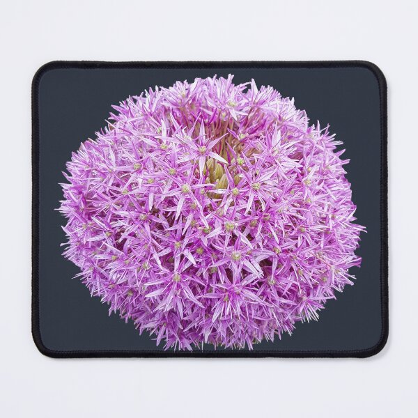 Item preview, Purple Allium Flower on Dark Blue Square designed and sold by ellenhenry.
