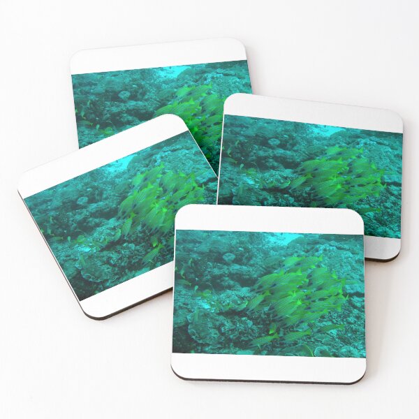 Item preview, Shoal of bluestripe snappers (Lutjanus kasmira) off Mafia, Tanzania. designed and sold by David JC.