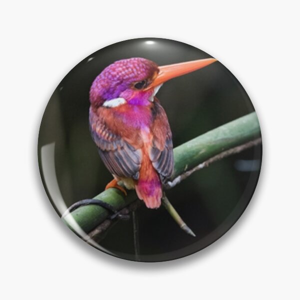 Item preview, Dwarf Kingfisher designed and sold by ritusdesigns.