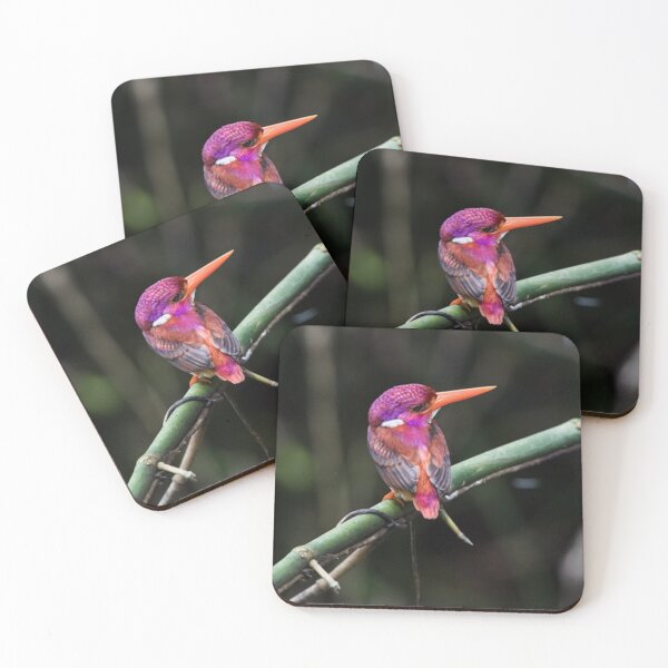 Item preview, Dwarf Kingfisher designed and sold by ritusdesigns.