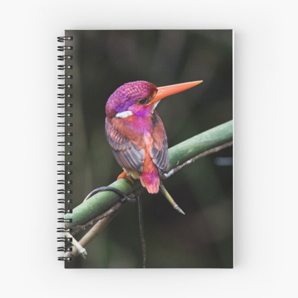Item preview, Dwarf Kingfisher designed and sold by ritusdesigns.