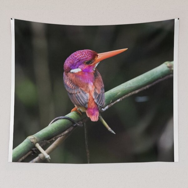 Item preview, Dwarf Kingfisher designed and sold by ritusdesigns.