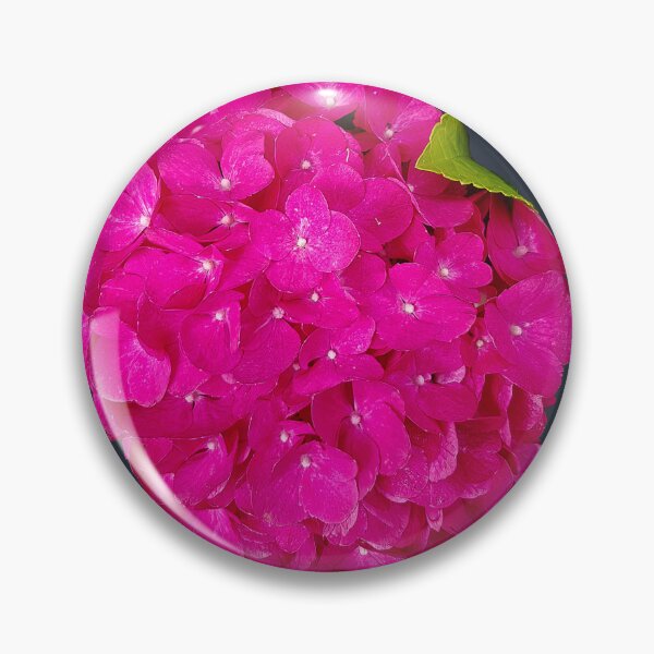 Item preview, Pink Hydrangea Flowers on Dark Blue Square designed and sold by ellenhenry.