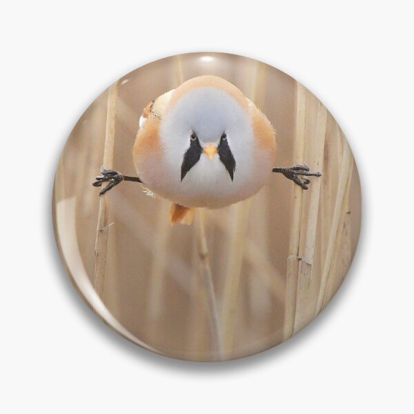 Item preview, perfect splits designed and sold by ritusdesigns.