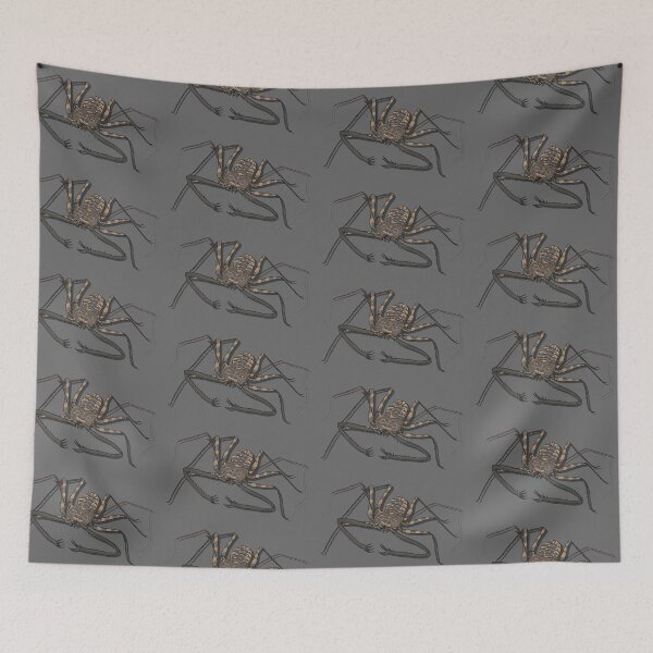 Item preview, Tailless whip scorpion  designed and sold by Purplepugprints.