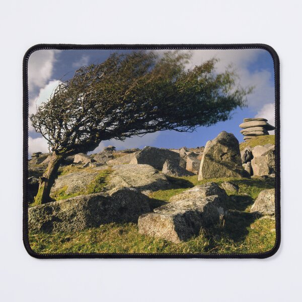 Item preview, Windswept Tree on Stowes Hill designed and sold by galpinimages.