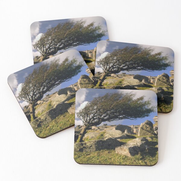 Item preview, Windswept Tree on Stowes Hill designed and sold by galpinimages.