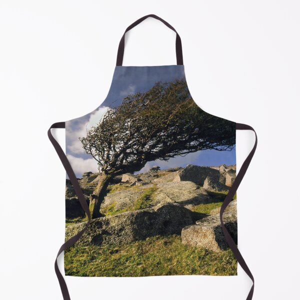 Item preview, Windswept Tree on Stowes Hill designed and sold by galpinimages.