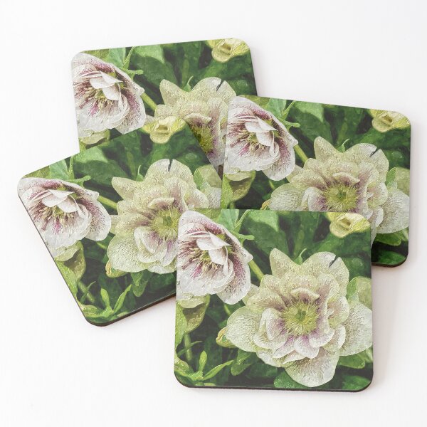 Item preview, Green and White Hellebore Blooms Painterly designed and sold by mljdwhite.
