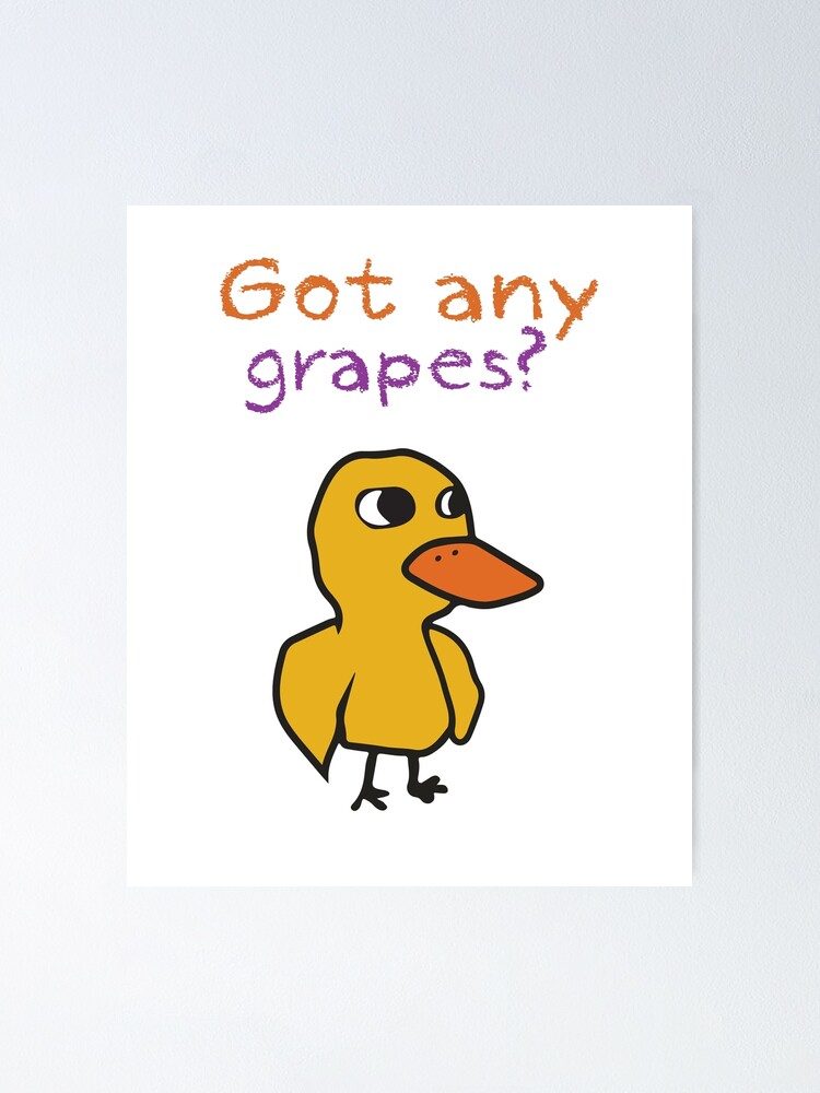 Got Any Grapes Shirt, Funny Duck Lover Shirt, The Duck Song Shirt