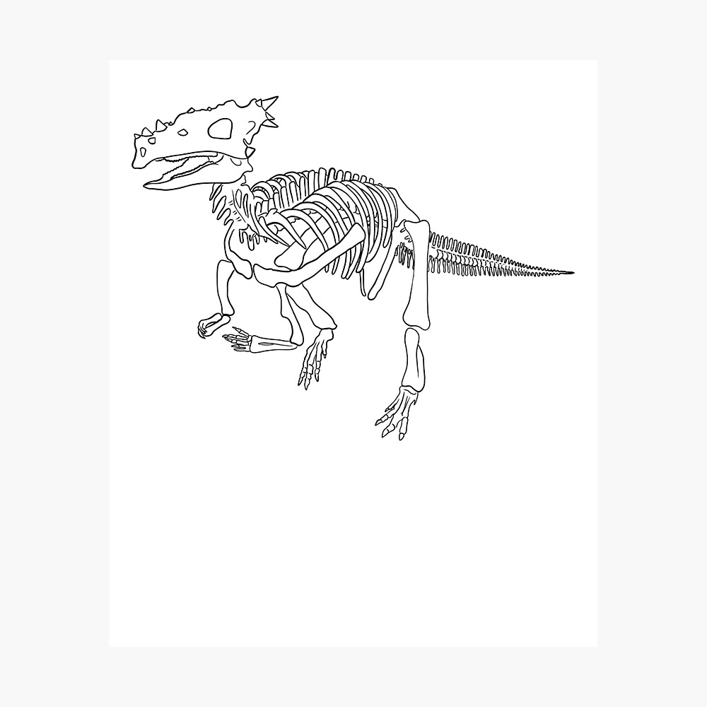 squelette de dracorex