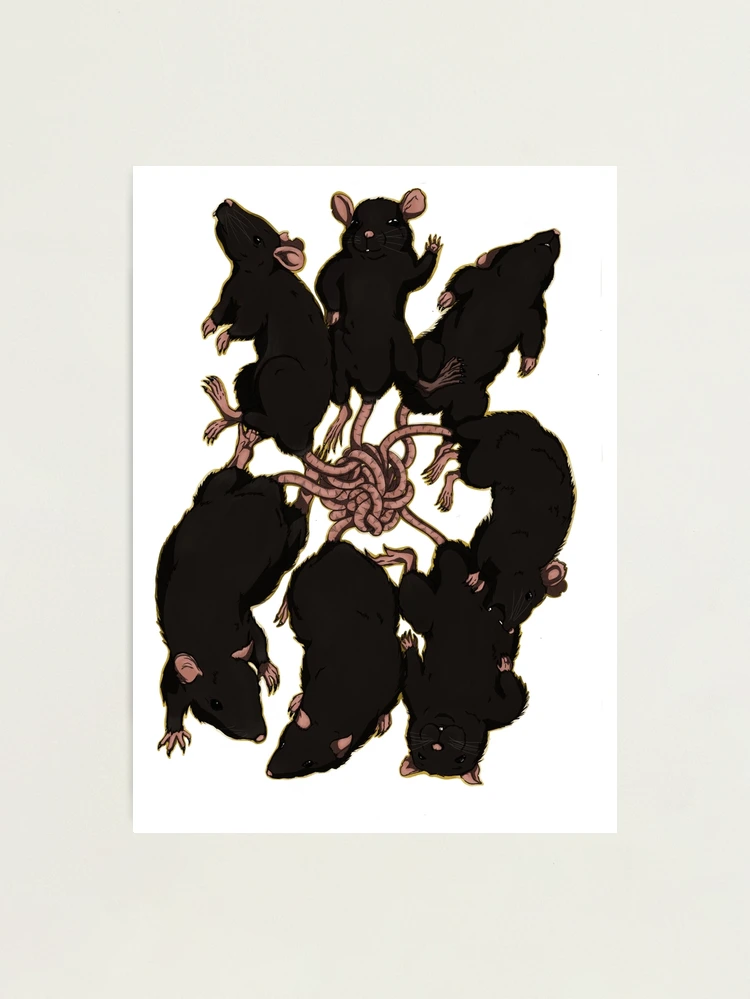 The Rat King Art Print for Sale by TheMysticMagpie