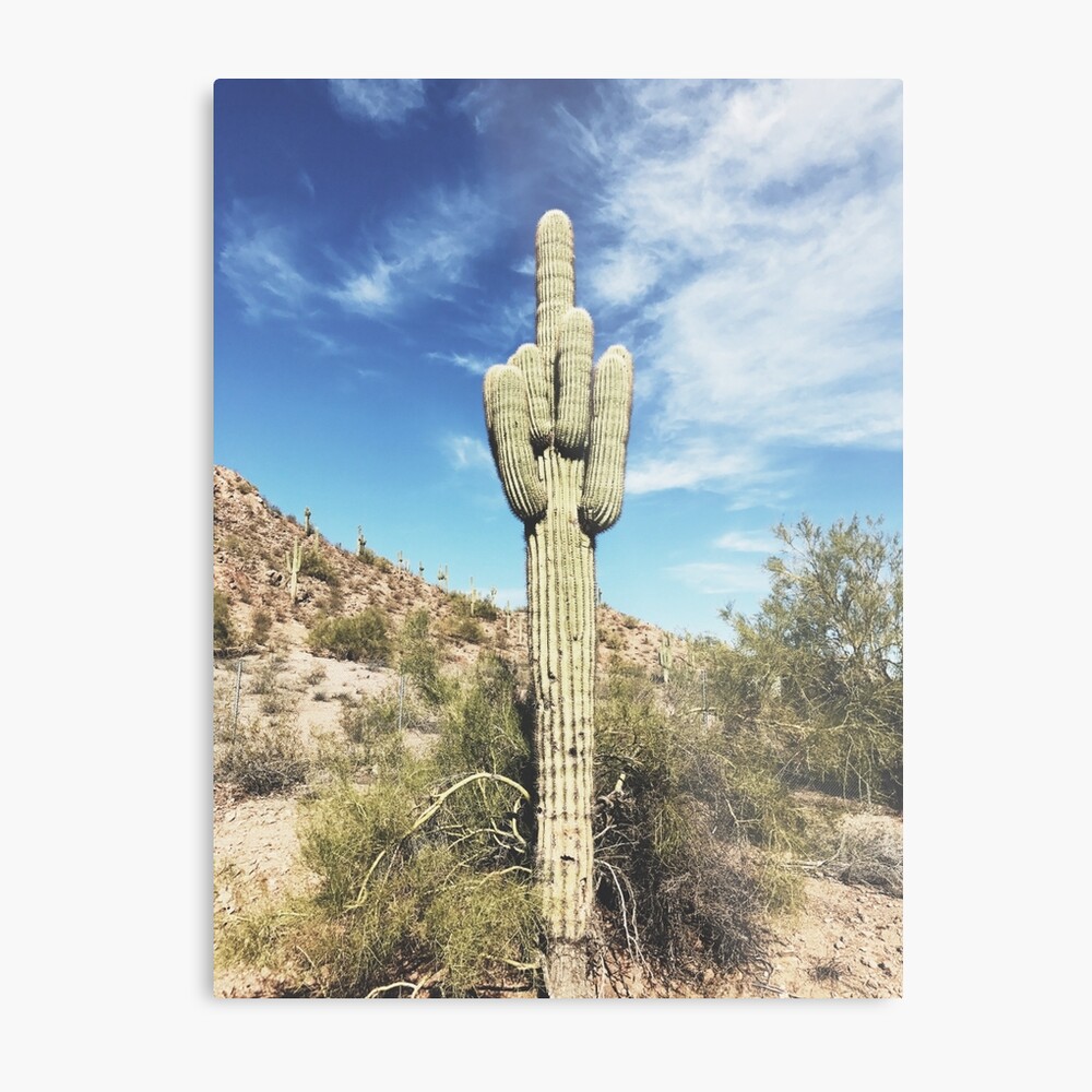 cactus middle finger shirt