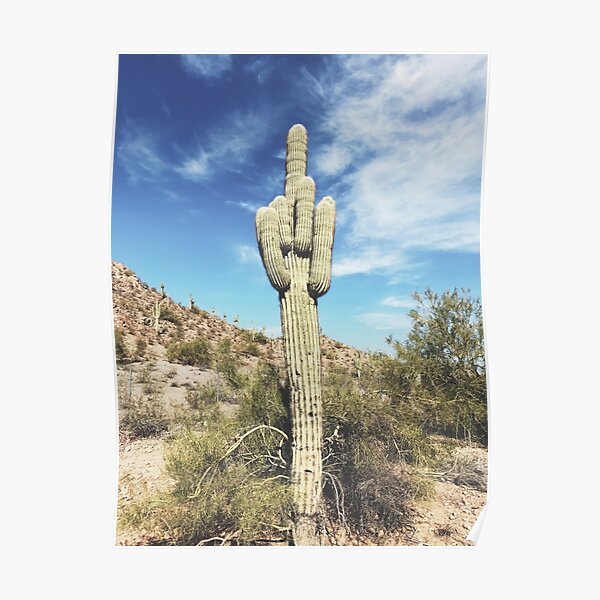 Middle Finger Cactus Poster