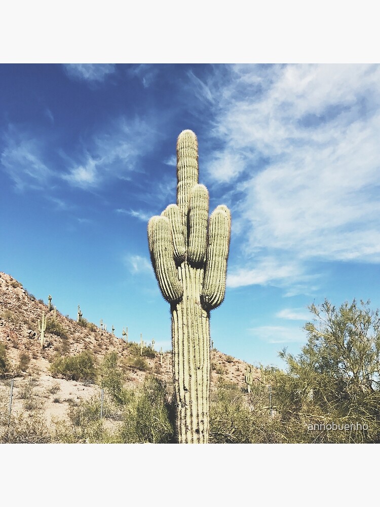 Middle Finger Cactus Tote Bag By Annobuenho Redbubble