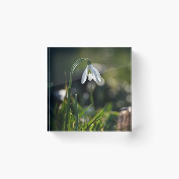 Item preview, Snowdrops designed and sold by Olimpia Negura.