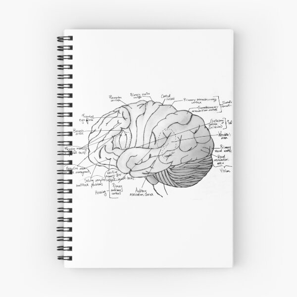 Item preview, Labeled Brain designed and sold by Marjorie Madrid.