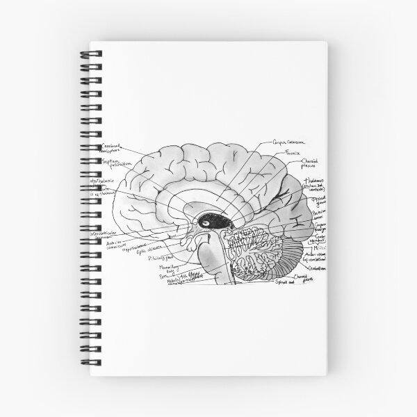 Item preview, Midsagittal Brain designed and sold by Marjorie Madrid.