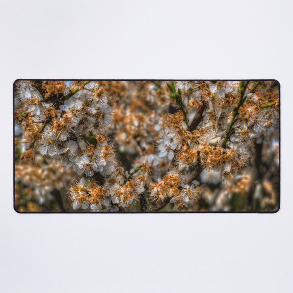 Item preview, White Blossom designed and sold by axp7884.