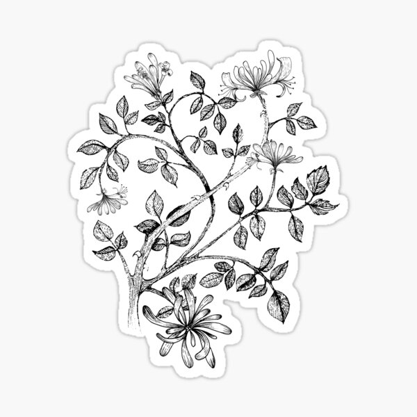 Mid century engraved art - China ink floral - Yellow, black and white Sticker