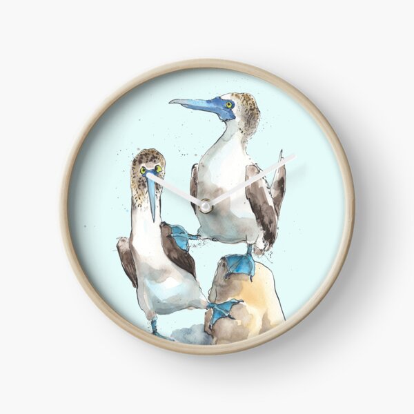 Argumentative Blue footed Boobies! Clock