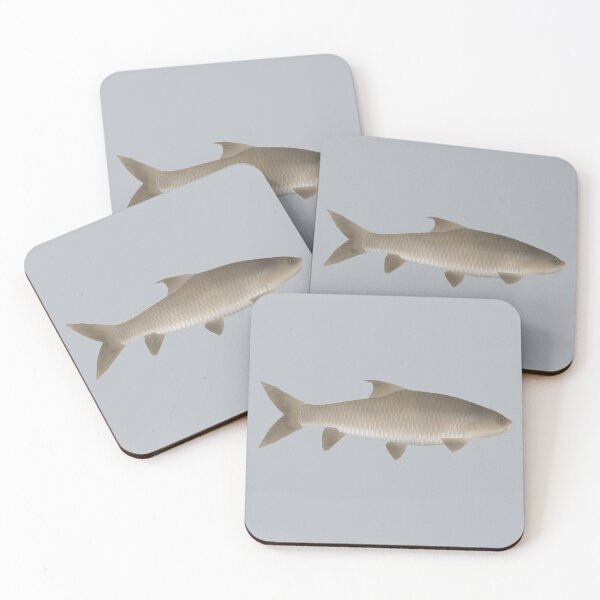 Item preview, Soro Brook Carp designed and sold by fishfolkart.