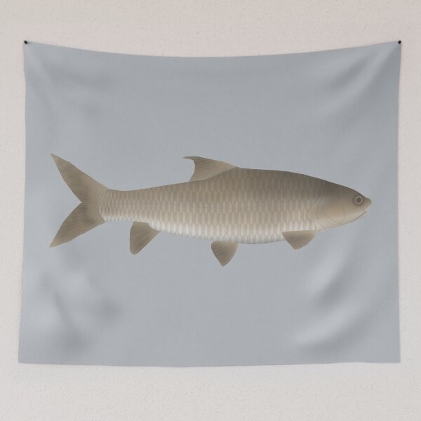 Item preview, Soro Brook Carp designed and sold by fishfolkart.