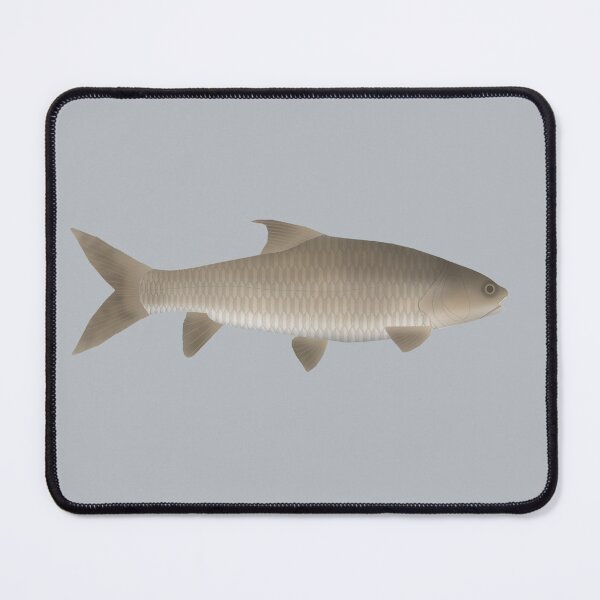 Item preview, Soro Brook Carp designed and sold by fishfolkart.