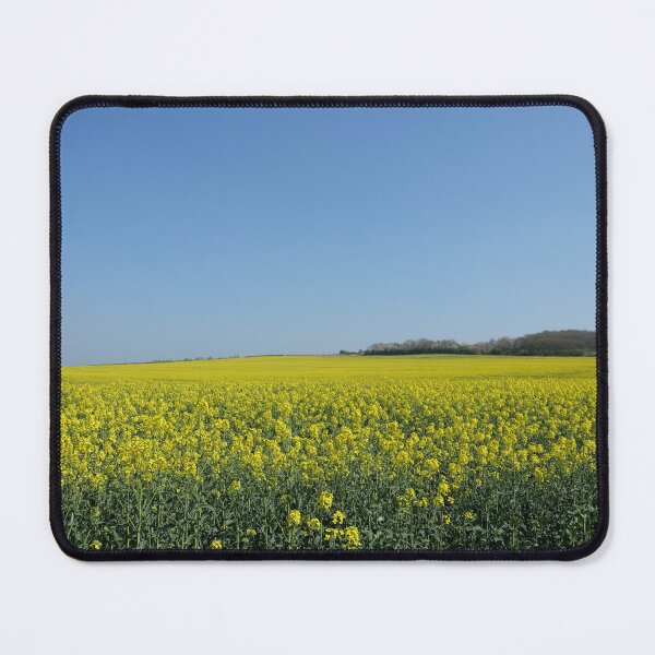Item preview, canola field designed and sold by markspics.