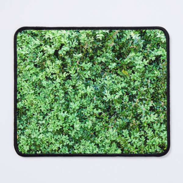 Item preview, box hedging pattern designed and sold by markspics.