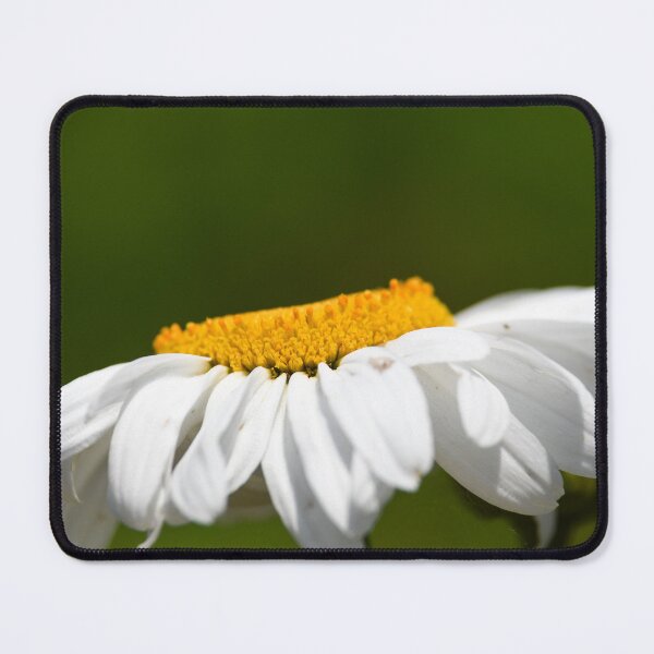 Item preview, daisy flower head designed and sold by markspics.