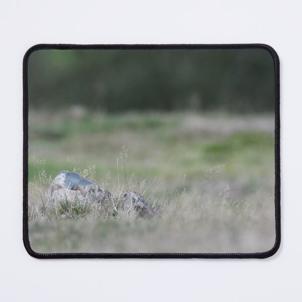 Item preview, rocky outcrop designed and sold by markspics.