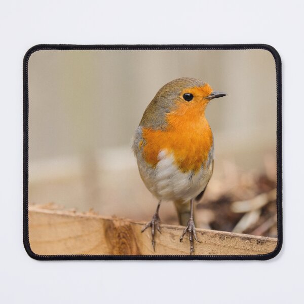 Item preview, robin designed and sold by markspics.